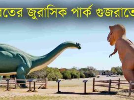 Jurassic Park of India Locates in Gujarat